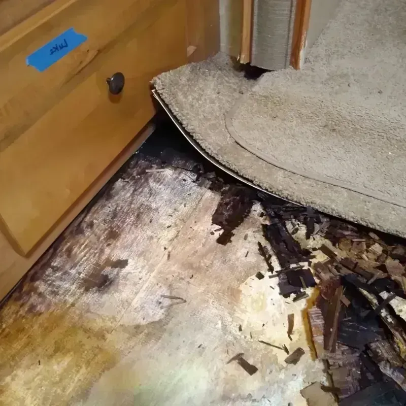 Wood Floor Water Damage in Sonora, TX